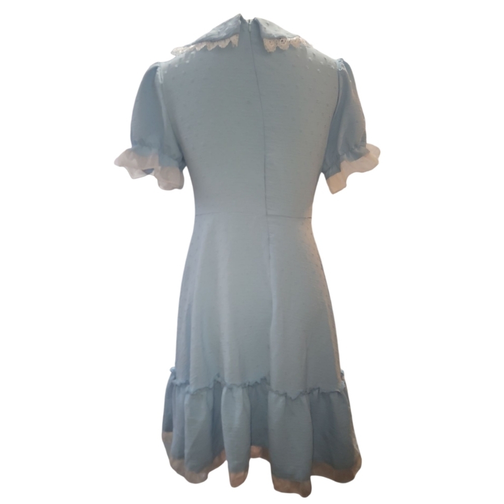 Elegant Blue Dress with White Accents - Picture 5 of 9